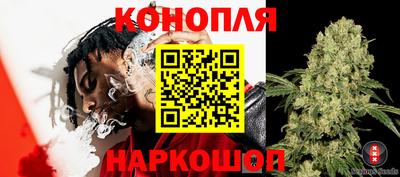 гидра Добрянка
