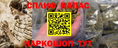 гидра Добрянка