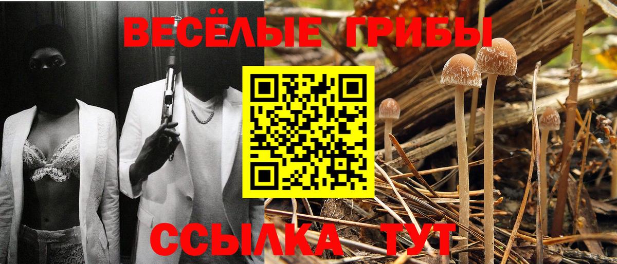 Псилоцибиновые грибы Psilocybe  Псилоцибиновые грибы ЛСД  Вход с VPN  Мелеуз 